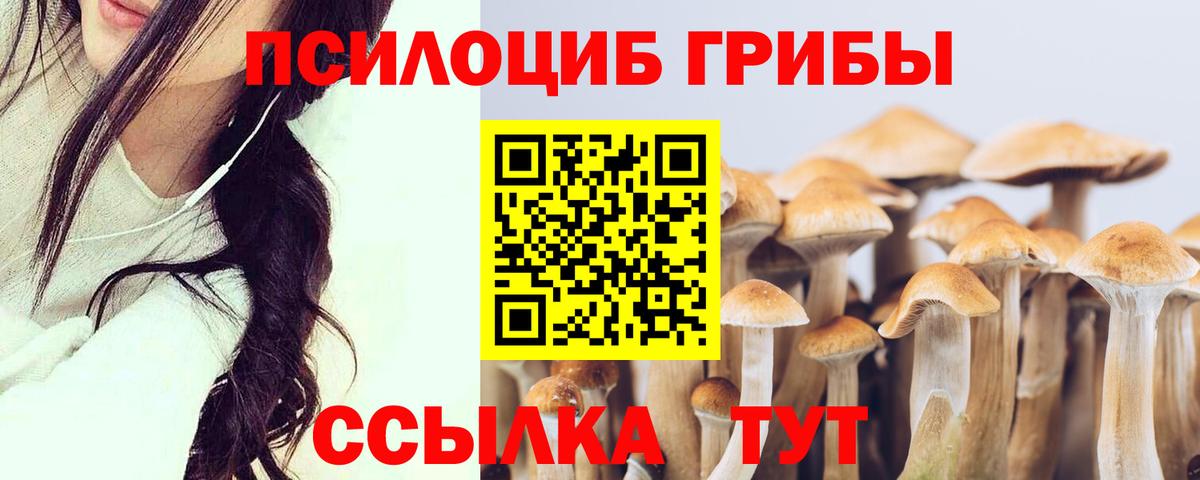 Самара  как найти   Галлюциногенные грибы MAGIC MUSHROOMS  Вход с VPN  Псилоцибиновые грибы Magic Shrooms 